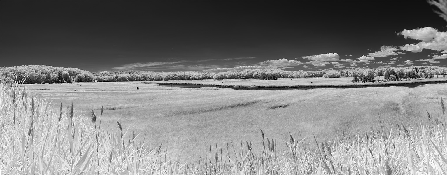 Panoramic Infrared Photo of Coastal Wetland.
